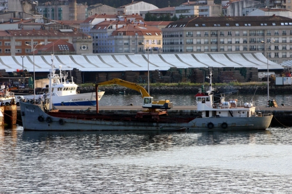 Kliknite za ogled večje slike