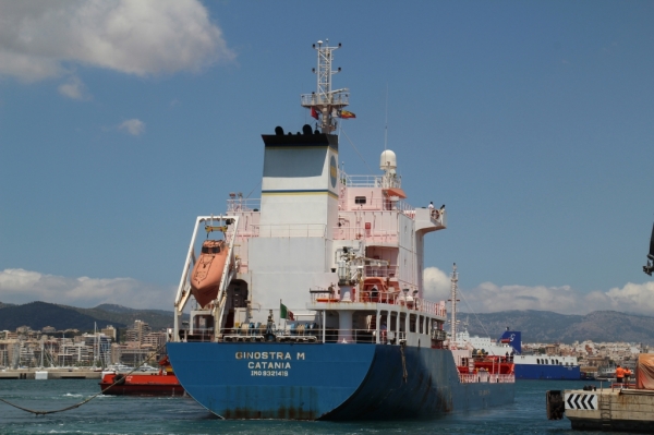 Cliqueu aquí per veure la imatge a la mida màxima