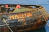 PRINCETON__07-02-2014_4.JPG